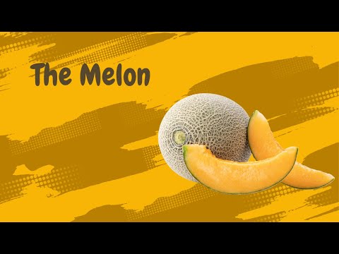Exploring the Sweet World of Melons: Types, Benefits, and Delicious Recipes