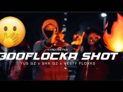 YUS GZ -  300FLOCKA SHOT Snippet Ft NESTY FLOCKS & SHA GZ , Kay Flock DISS????