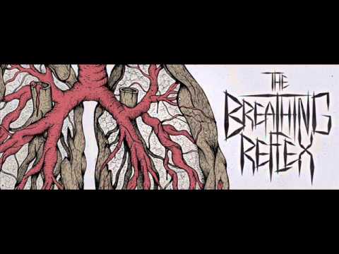 The Breathing Reflex EP teaser
