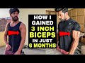 How I Gained 3 inch BICEPS In 6 Months