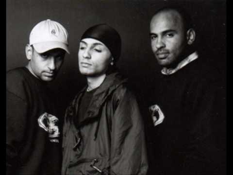 zebra - naicanicula 2