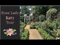 🌹Rose Katy Garden Tour / Magnificent Climbing Roses