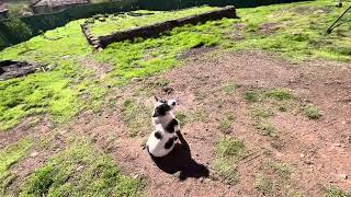 Cumhuriyet bayramınız kutlu olsun