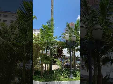 Praça José Bonifácio na cidade Itatiba interior de São Paulo praça do terminal