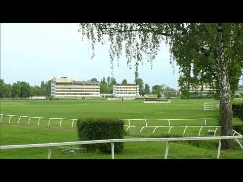 Dostihy Pardubice – živé vysílání