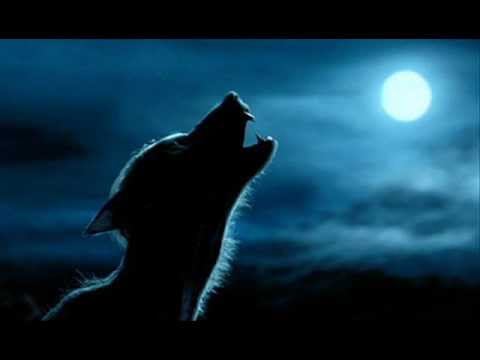 Luis Vivi Hernandez-Que monstruos son.