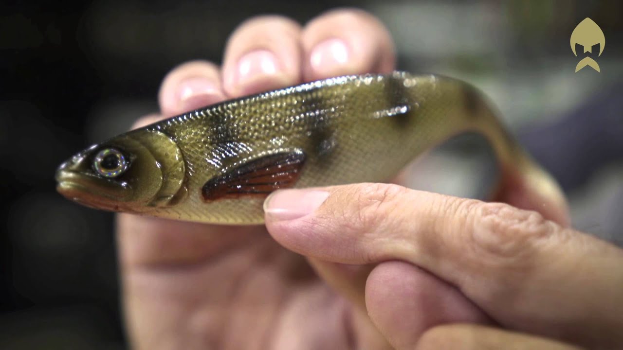 Guminukas Westin Shad Teez 12cm 15g Guminukas Westin Shad Teez 12cm 15g