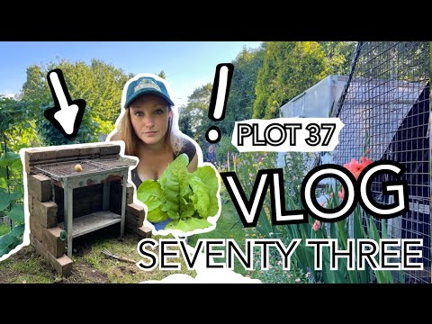 Potato Harvest, a new raised Carrot Bed and the Girls are settling in fine! || Plot 37 (Episode 73)