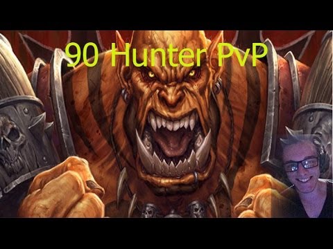 MM Hunter Arms Warrior 2v2 - World of Warcraft - Patch 5.4