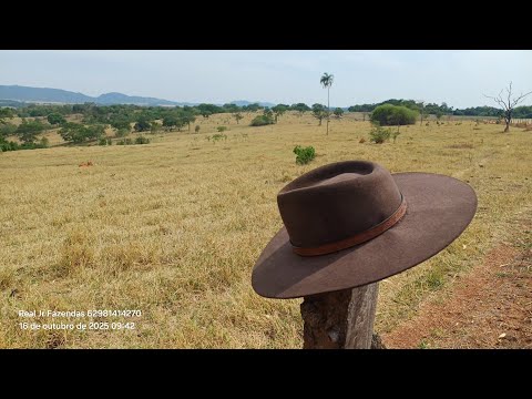 Chácara 7 ALQU VALOR 1.500,000 10 KM DE MOSSAMEDES GO 130 KM DE GOIÂNIA 62 981414270 (So a TERRA) 