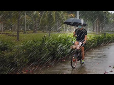 START Doing This and You'll Never Feel Stressed Out At The End of The Day! Come Walk In the Rain!