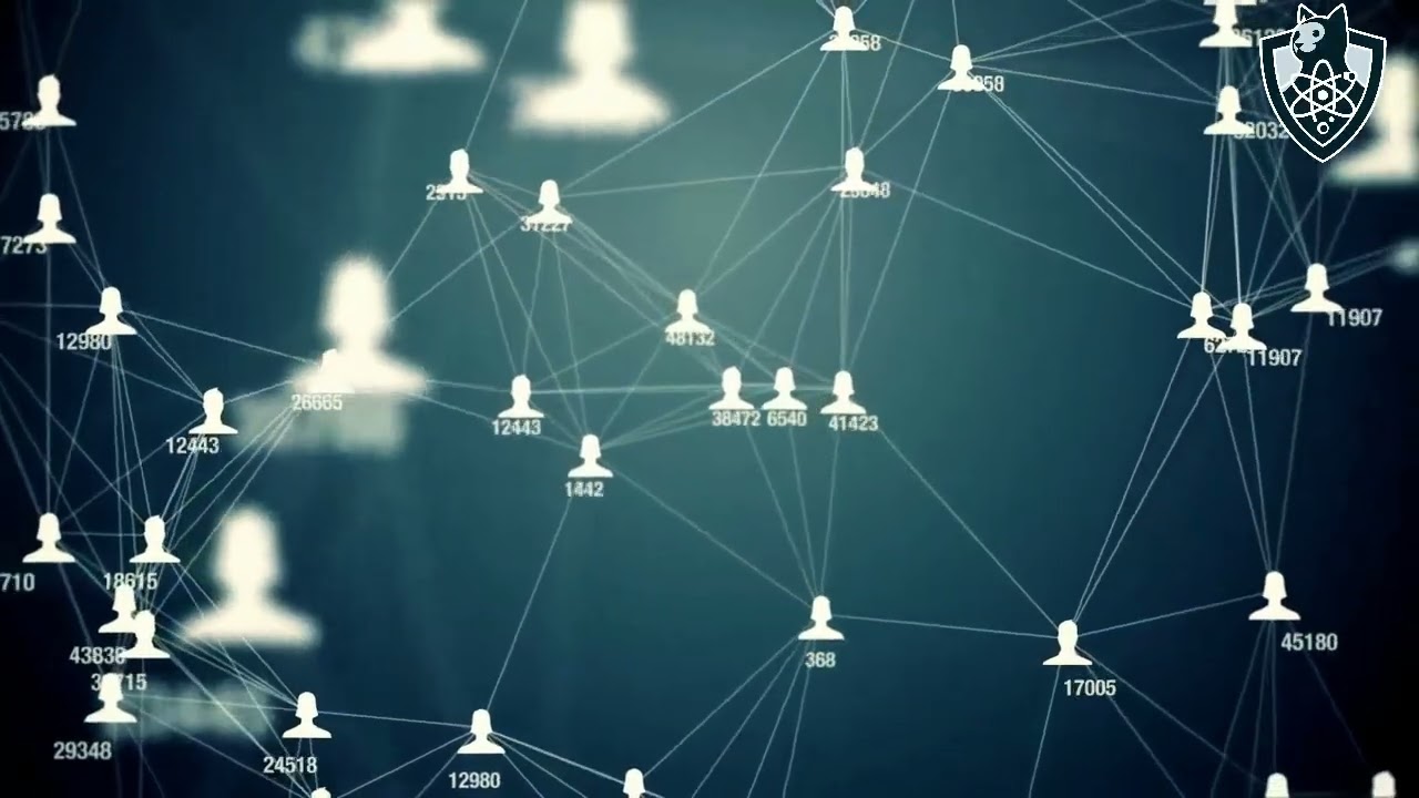 The Anatomy of a PQC (Post Quantum Cryptography Project)