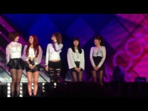 131006 dreamconcert T-ara boram focas