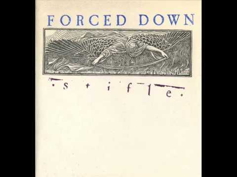 Forced Down - A Cry For Truth