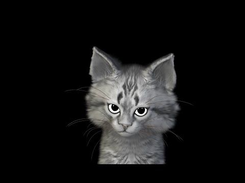 DURUMLAR KARIŞIK! | Neden Video Atamıyorum?