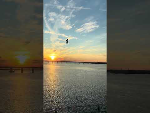 Broad Channel bliss. Subway content. Sunset on Marathon Sunday as seen from the A train thumbnail