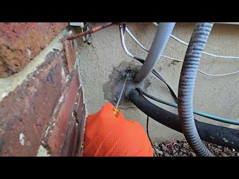 Closing Up the Entry Points for Mice in Princeton Junction, NJ