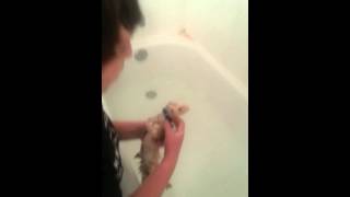 She's Twinkie she's stinky