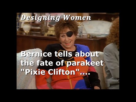 DESIGNING WOMEN -- Bernice Tells About the Fate of Parakeet "Pixie Clifton"