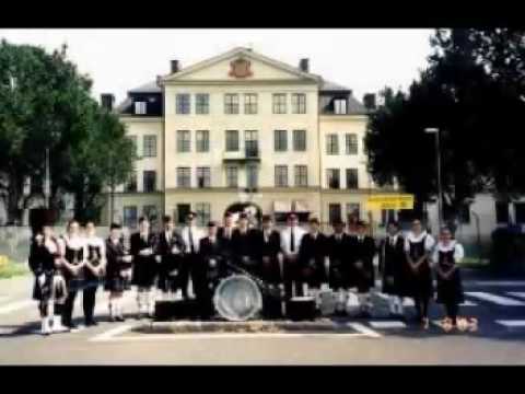 Saint Patrick's Battalion (David Rovics)