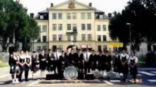 Saint Patrick's Battalion (David Rovics)