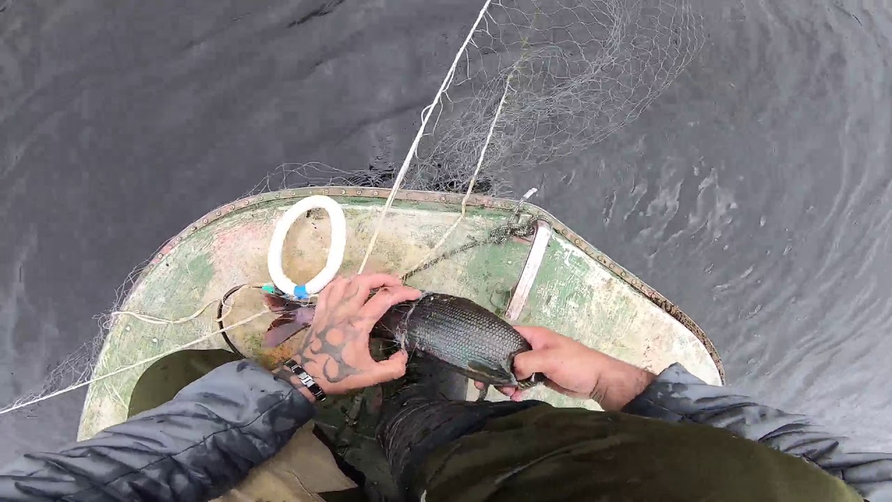 рыбалка на сеть на реке видео