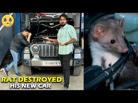 KARSENZ KARTHIK-க்கு இந்த நிலைமையா !!🥺 RAT Bite in His New Mahindra THAR