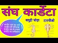 कार्डेटा का अर्थ, परिभाषा, लक्षण | कार्डेटा का वर्गीकरण | Phylum Chordata | Chordata Classification कार्डेटा का अर्थ, परिभाषा, लक्षण | कार्डेटा का वर्गीकरण | Phylum Chordata | Chordata Classification
