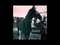 Mi Compa Junior - Tito Torbellino