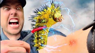 STUNG by an Electric Caterpillar!