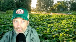 Good Crops You Don’t Eat + Passive Irrigation Systems