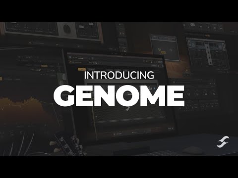 SOFTWARE GENOME - Two-notes