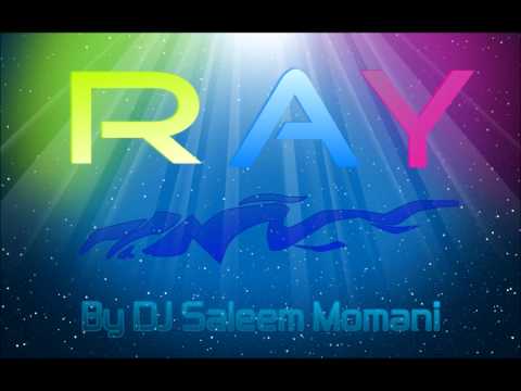 DJ Saleem Momani - RAY