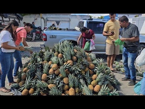 Quixabeira Bahia. E sua Feira livre e tradição nordestina.