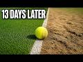 Wimbledon S Grass Dies Before The Final