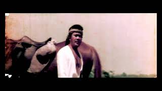 Download lagu KAWULA MUDA - RHOMA IRAMA mp3