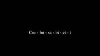 Cursum Perficio - Enya with( "PHONETIC") subtitles