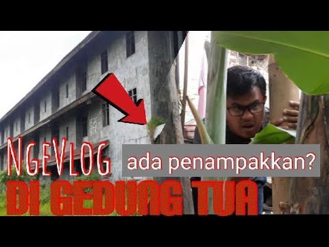 nge-vlog-di-gedung-tua-ada-penampakkan