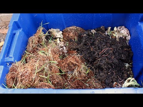 How to Make a Worm Bin | Easy DIY Worm Farm Video