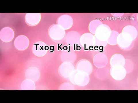 Txog Koj Ib Leeg - Ntxheb Lis (lyrics)