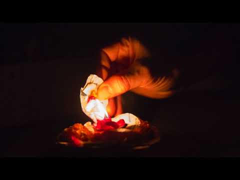 Devoted Practice After Devotions in India | Ajahn Achalo