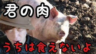 【屠殺場】肉が地域によって出回る物が変わる理由