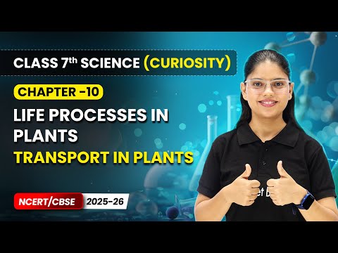 Class 7 Science Curiosity Book – Full Book Overview NCERT CBSE 2025 26 New Syllabus Explained
