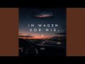 Im Wagen vor mir