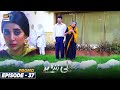 Neeli Zinda Hai Episode 37 | Promo | ARY Digital Drama
