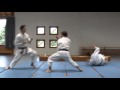 Heian Shodan Bunkai