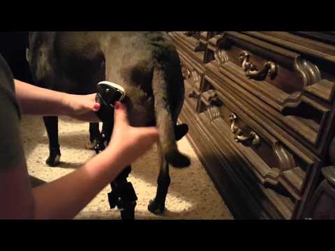 McKayla Huser's Donning Video