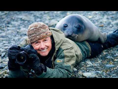 Les meilleurs animaux ont surpris les photographes d'une manière inattendue 🤪 drôles de vidéos d'animaux 2025
