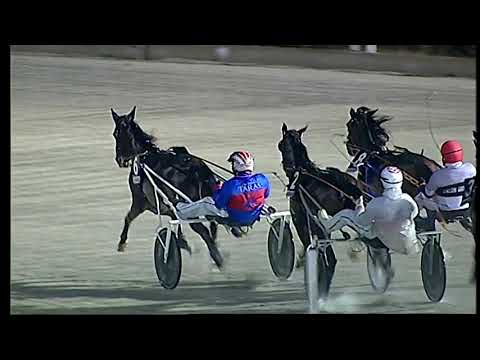 Napoli Trotto 26/11/2021 - 7ª corsa