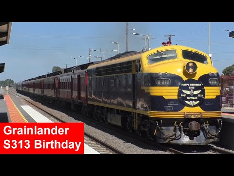 Mainline Heritage is Back! 707 Operations 'Grainlander' & Steamrail 'S313 Birthday'
